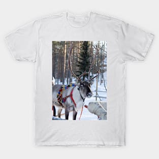 Santa Claus Reindeer T-Shirt